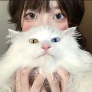 单恋鱼。