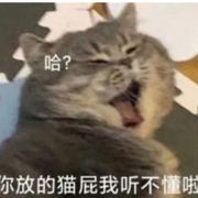 沈周