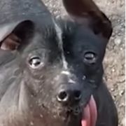 魔幻科技