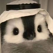 。