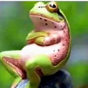 拽气的有钱喜洋洋