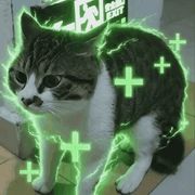 芝麻丸哦