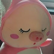 不二喵君