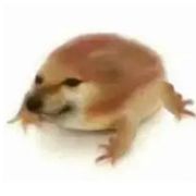 套路
