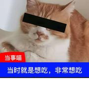 User2790553