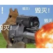 火辣兔兔