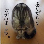 樱野椿奈