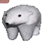 凉某人
