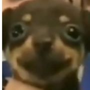 歪