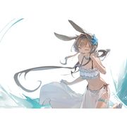 方舟的骑士