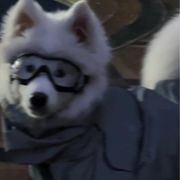 小羊永远等你་