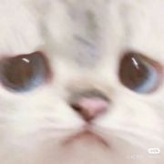 木木