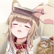 木亥平合鸟