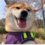 三三
