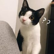冷雨