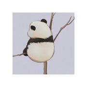 念汐