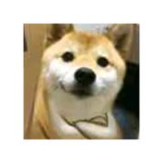 吕