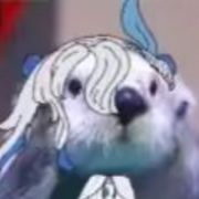 沙漠一雕