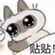 打字很快的单机玩家