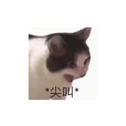 无名海盐