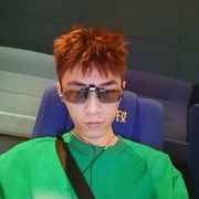 鸭嘴兽泰瑞瑞
