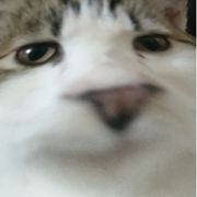 。。。