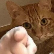 普信男团长