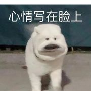 这个芋泥就是逊啦