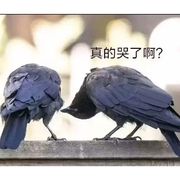 扒岁已黑化