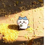 竹崽🍀就是🐷(竹)某