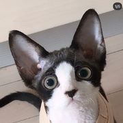 ゛墨