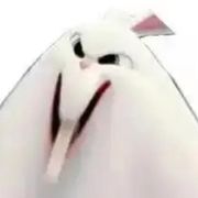 说的兔头