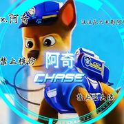 阿奇