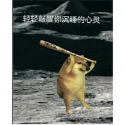干的漂亮