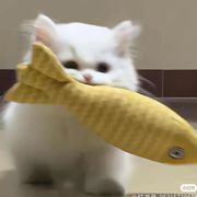 潮落.