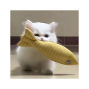 主角