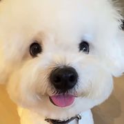风云杂糅