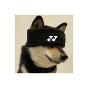 一叶之秋