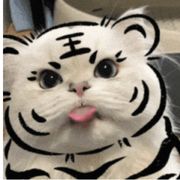 老王้้꧔ꦿ