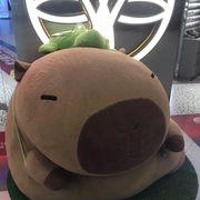 一条鳞鱼