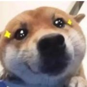 坚持零氪不动摇