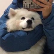 可是