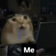 Gin