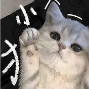 醒目漱石
