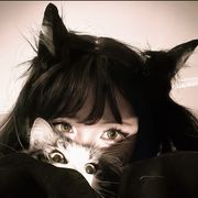 qc曲