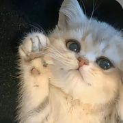 阿然