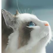 云曳