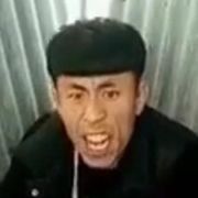 找不到爸爸的小灰灰