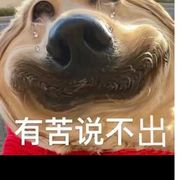 787706011