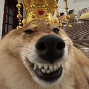 云云云云云云荒